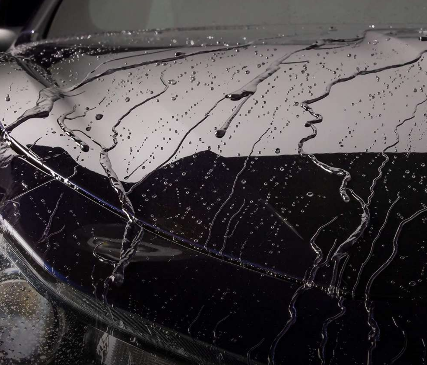 Ceara Auto & Sealant